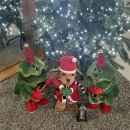 수원-0632 이미지