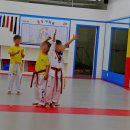 ACE 태권도장 이미지