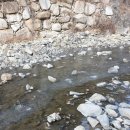 모두의짬뽕 정관점 이미지