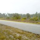 미국 플로리다주 약 2000 제곱미터 (600평) 땅 (나대지) 4200만원 (평당 7만원) 영상첨부 이미지