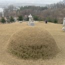 정정옹주묘 이미지