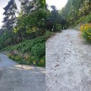 낙원펜션 이미지