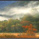 숲속모텔 이미지