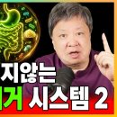 굶주린 세균이 당신의 장벽을 갉아먹는 이유 | 장독소제거 청소시스템 2가지 이미지