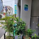 케롬당구장 이미지