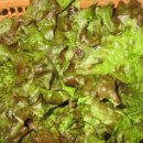 향우갈비촌 이미지