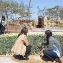 꽃잔치 - 고양시 덕양구 화신로 102 | 꽃잔치