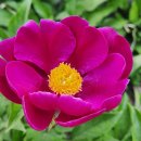 복이 행정사사무소 이미지