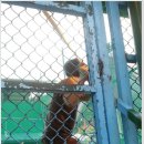 공때리기 이미지