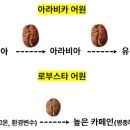 세상드림 이미지