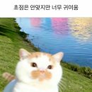 초점
