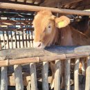 영화와 함께 문학 즐기기 | 하동 최참판댁: 드라마 토지 속으로(Feat. 박경리문학관)