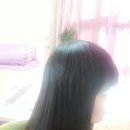 숫컷트