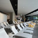 블루멍 펫 테라피 이미지