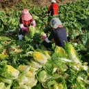 신포농장 이미지