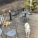 목련민박 이미지