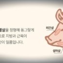 광일기사님식당
