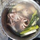 바다야또놀자 이미지