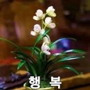 100세 장수시대 오래사는 비결. 이미지