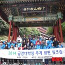 금강대 뉴시스