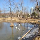 신대방역자전거주차장 | 가족과 함께 산책하기 좋은 보라매공원