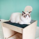 고양이집 이미지