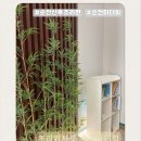 덕암동 | 전라남도 순천 덕암동 &lt;마더힐조리원&gt; 9박10일 솔직후기(내돈내산)