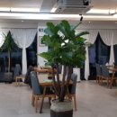 일 생고기.육회 이미지