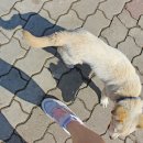 (주)기계주유소 이미지