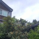 남촌풀하우스 이미지