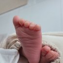 고운손병원 | 정부지원 경기도 화성 고운황금손 산후도우미 쌍둥이 이용 후기바우처 B통합2형, 본인부담금, 정부...