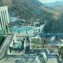 제천상회 이미지