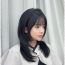 인스헤어 - 안산시 단원구 | 인스헤어