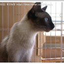 평강농장 이미지