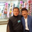 도진