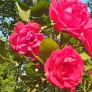 매곡2길 이미지