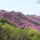 고려산주유소 이미지