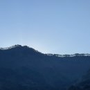 제비호식당 이미지