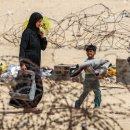 가자 사망자수 크게 감소 확인- 유엔: 여성과 어린이 절반 이하로 이미지