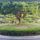 태인컨트리클럽 이미지