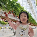 다연농장 이미지