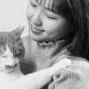 고양이미용실 나른하냥