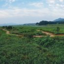 건등1리 경로당 이미지