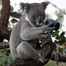 호텔자유2 이미지