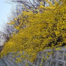 김미경행정사사무소 이미지