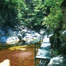 덕풍계곡마을야영장 이미지