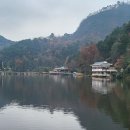 [구이양 가볼만한곳] ＜첸링산공원 黔灵山公园＞ 구이양 제일의 산, 원숭이 천국, 정상에는 홍복사 이미지