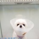 어울림 동물병원 이미지