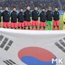 태극