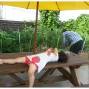 정수민박 이미지